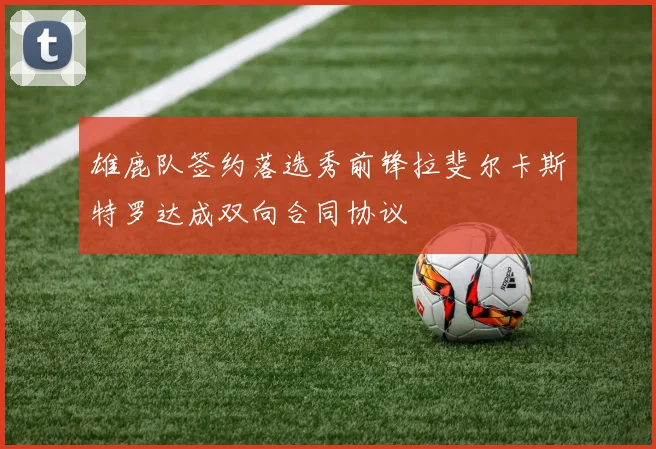 雄鹿队签约落选秀前锋拉斐尔卡斯特罗达成双向合同协议