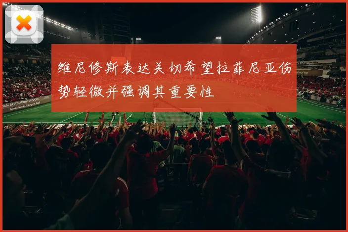 维尼修斯表达关切希望拉菲尼亚伤势轻微并强调其重要性