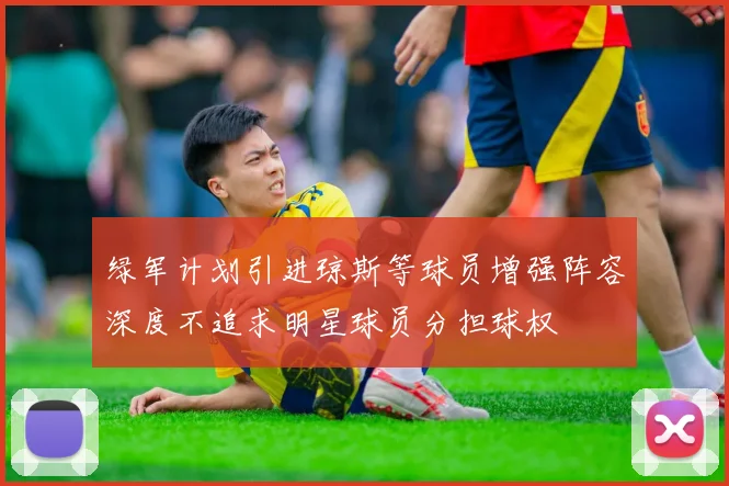 绿军计划引进琼斯等球员增强阵容深度不追求明星球员分担球权