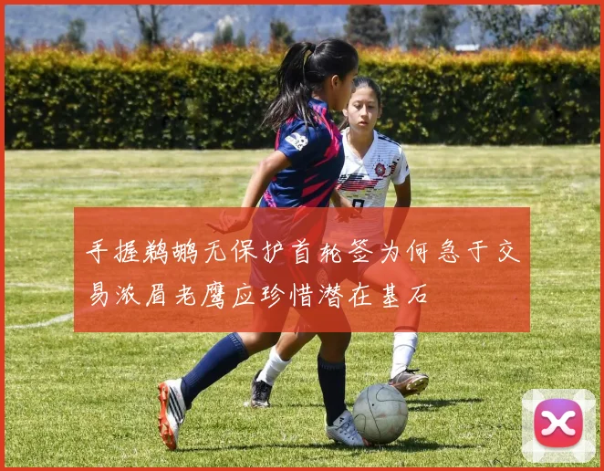 手握鹈鹕无保护首轮签为何急于交易浓眉老鹰应珍惜潜在基石